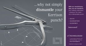 ...why not simply dismantle your Kerrison punch?
